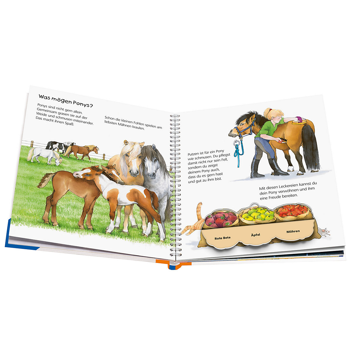 WWW junior Das Pony