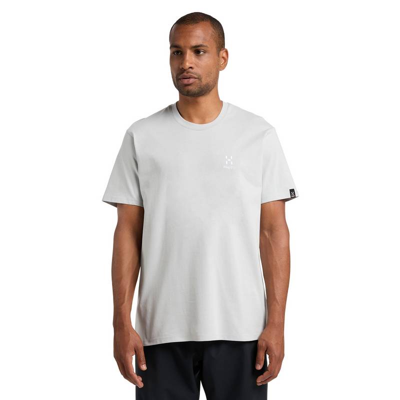 Haglfs Camp Tee Funktionsshirt Herren