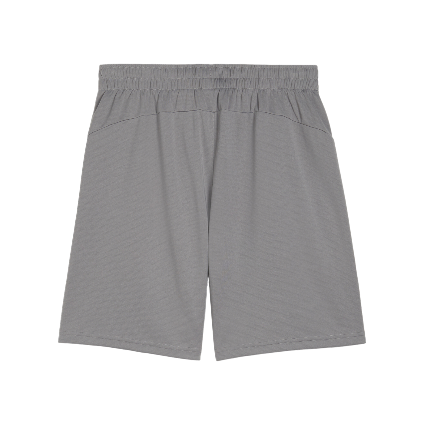 PUMA teamFINAL Trainingsshorts Grau F13
