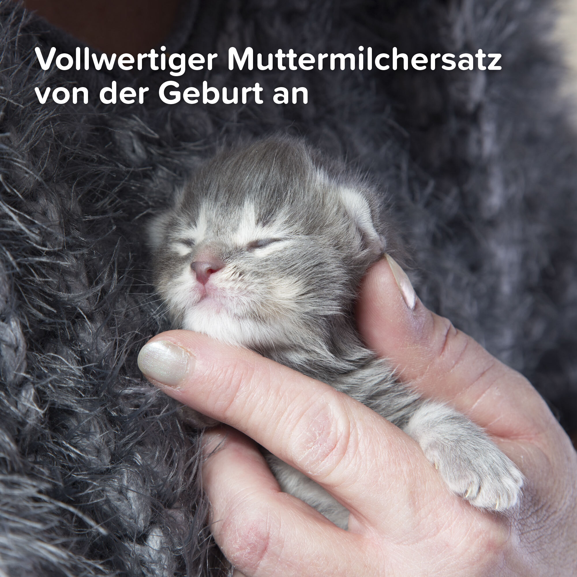 Beaphar Ergänzungsfutter & Aufzucht Beaphar Lactol Aufzucht-Milch 500 g