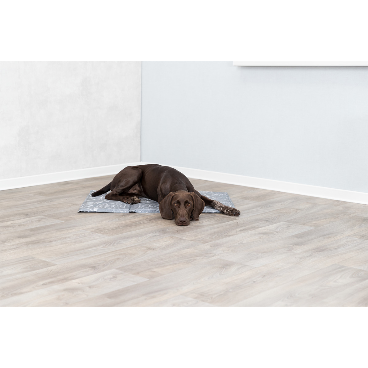 Trixie Kühlmatte Soft XL 90x60cm | Rückläufer kaufen bei ZooRoyal
