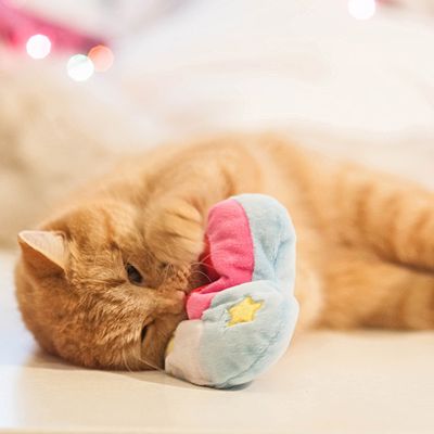 Aumüller Katzenspielzeug Regenbogenherz