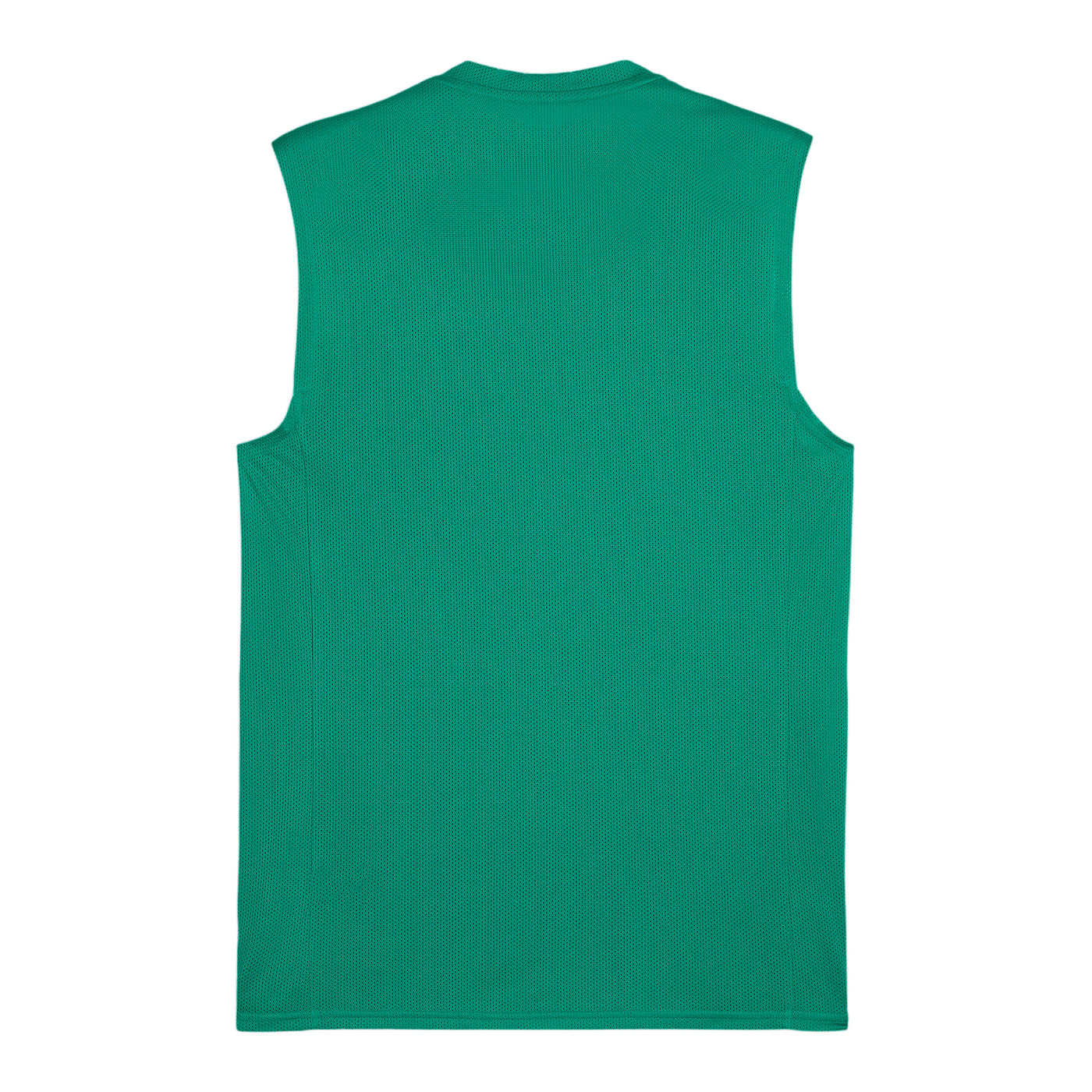PUMA TeamGoal Trikot Grün F05
