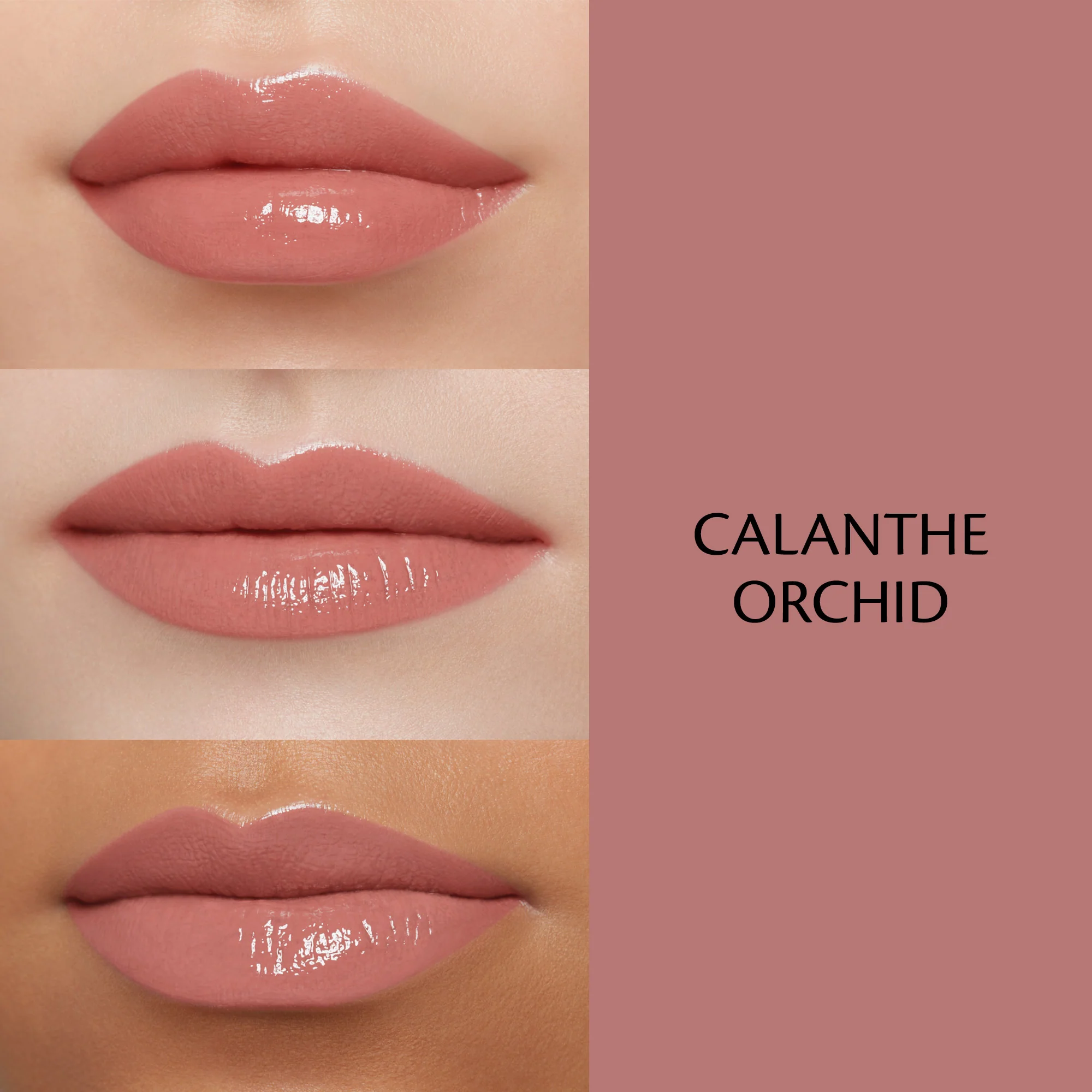 Labial Cream Rouge Shine Lips - Lápiz labial brillante, Lápiz labial