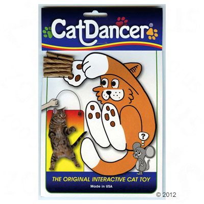 Katzenangel Cat Dancer
