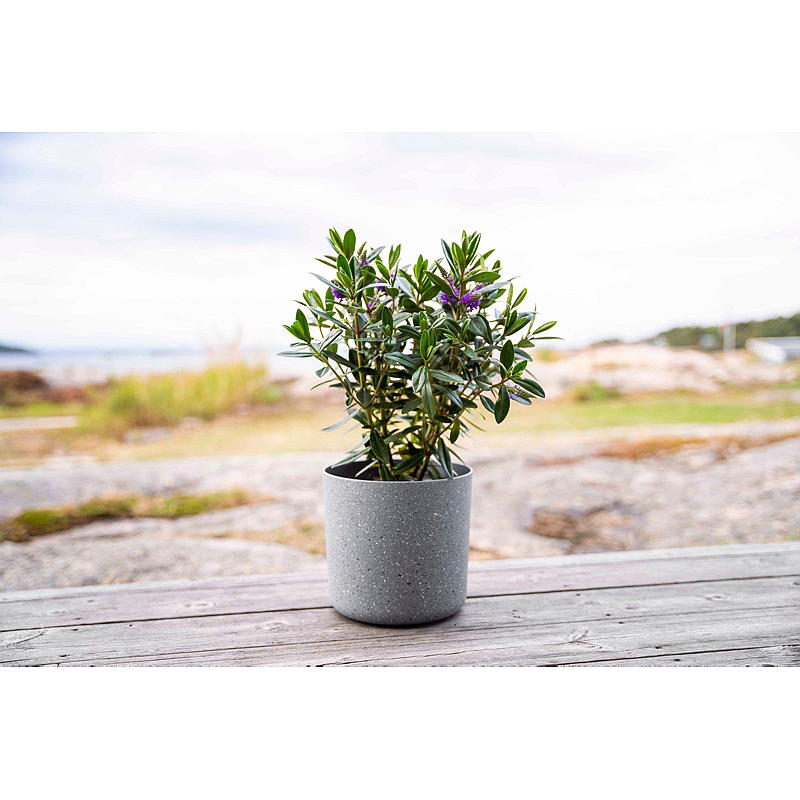 Home Blomsterpotte Terrazzo ø 18 cm