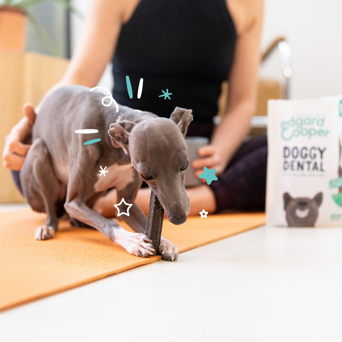 Edgard & Cooper Doggy Dental Erdbeere/Minze S kaufen bei ZooRoyal