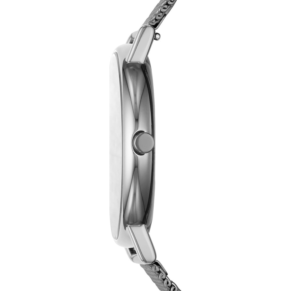 Skagen Montre pour hommes Acier inoxydable Montre