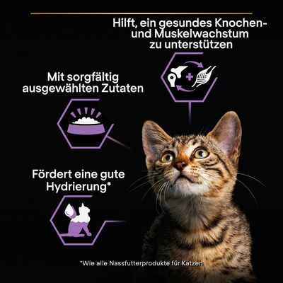 PURINA PRO PLAN Kitten Healthy Start 24 x 85 g