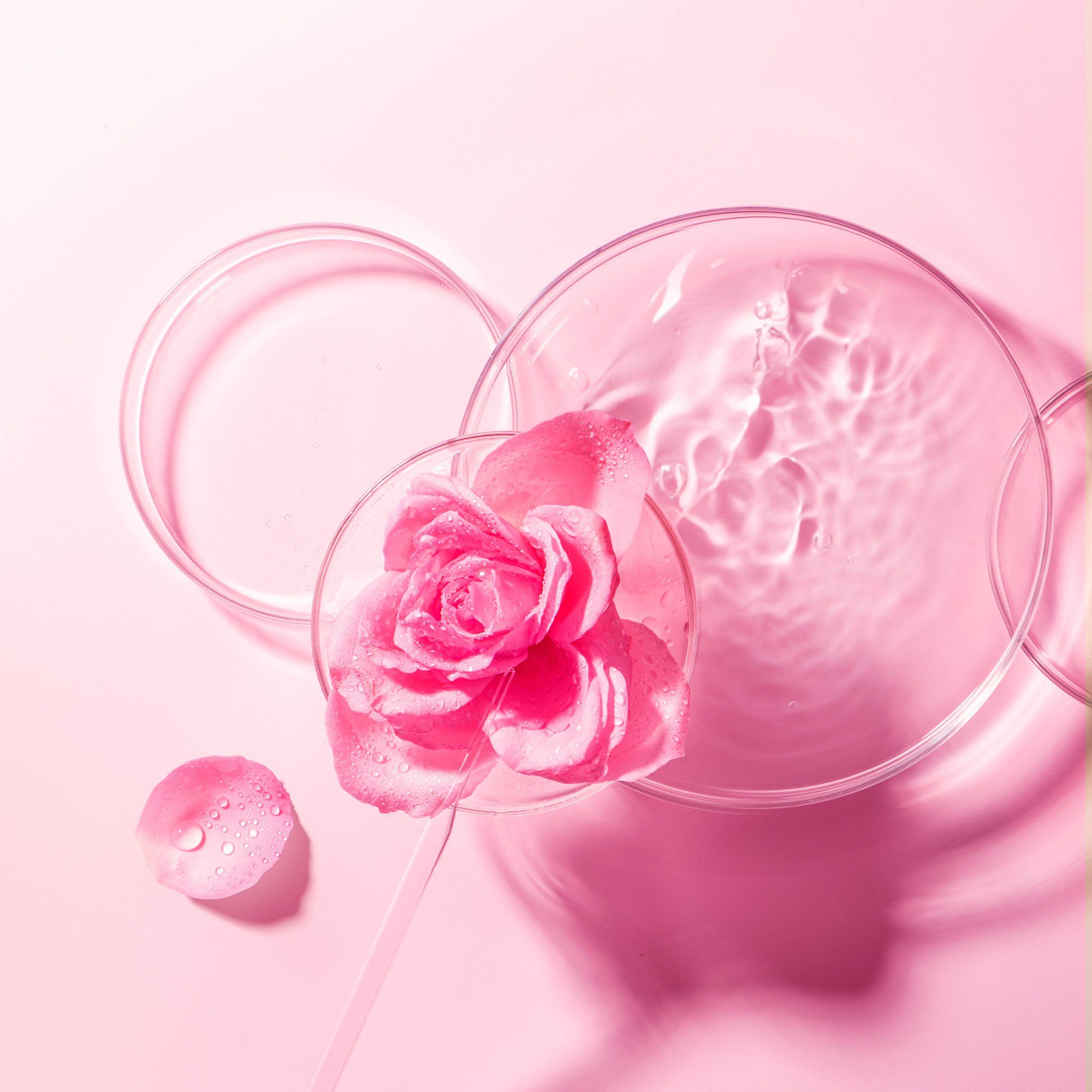 FOREO Gesichtsmaske Farm To Face Collection Sheet Masks Bulgarian Rose, 3-tlg.