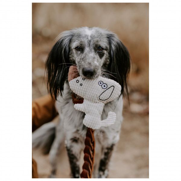 Hunter - Hundespielzeug Barry - Hundezubehör