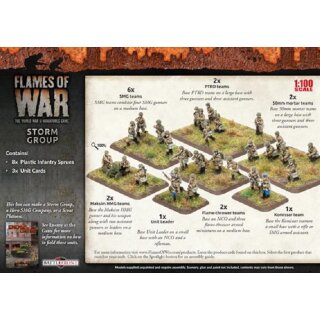 Storm Group (68) (plastic)