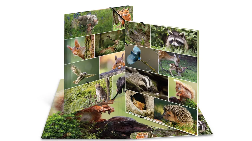 HERMA Sammelmappe A3 Karton Waldtiere