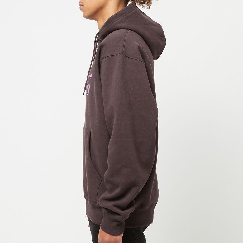 BoTT 2Y Hoodie brown