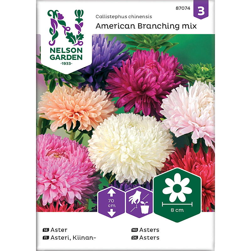 Nelson garden Frø Asters Amerikan