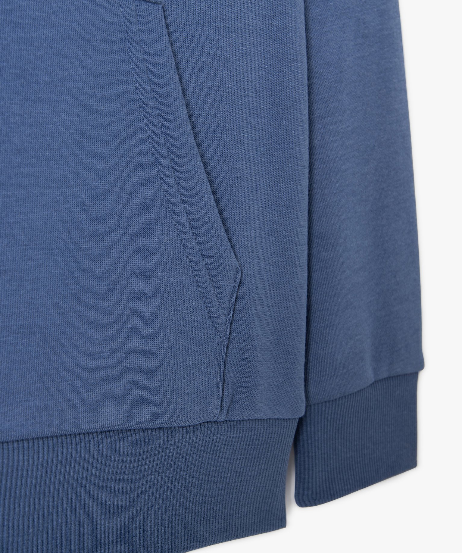 Sweat à capuche intérieur molletonné Garçon bleu | GEMO
