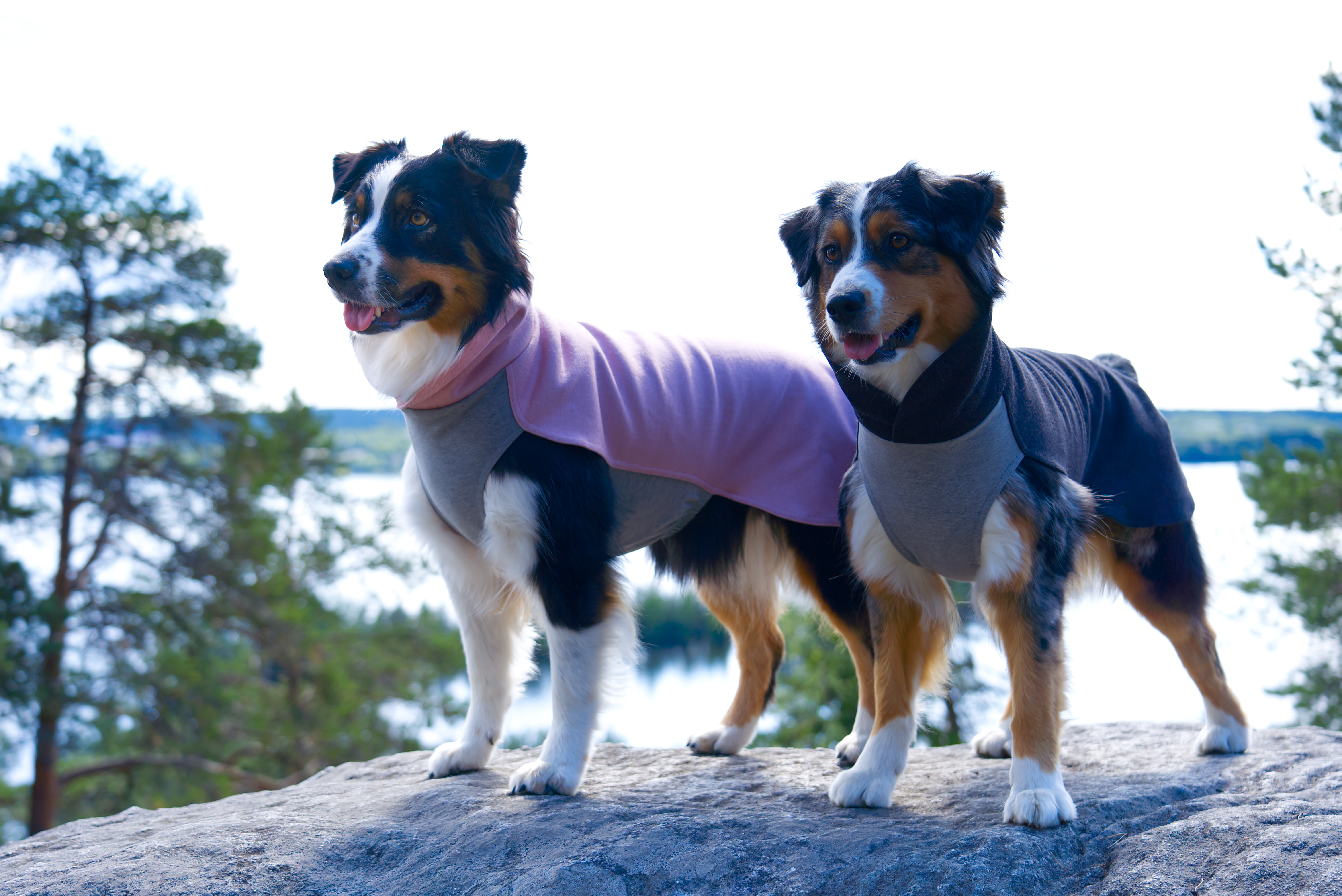 Paikka Hundemäntel Paikka Recovery Winter Shirt pink 30 cm