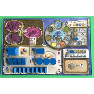 Plastic tray compatible with Terra Mystica