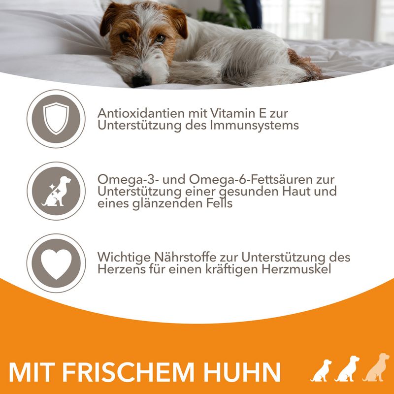 IAMS Advanced Nutrition Adult Small & Medium Dog mit Huhn