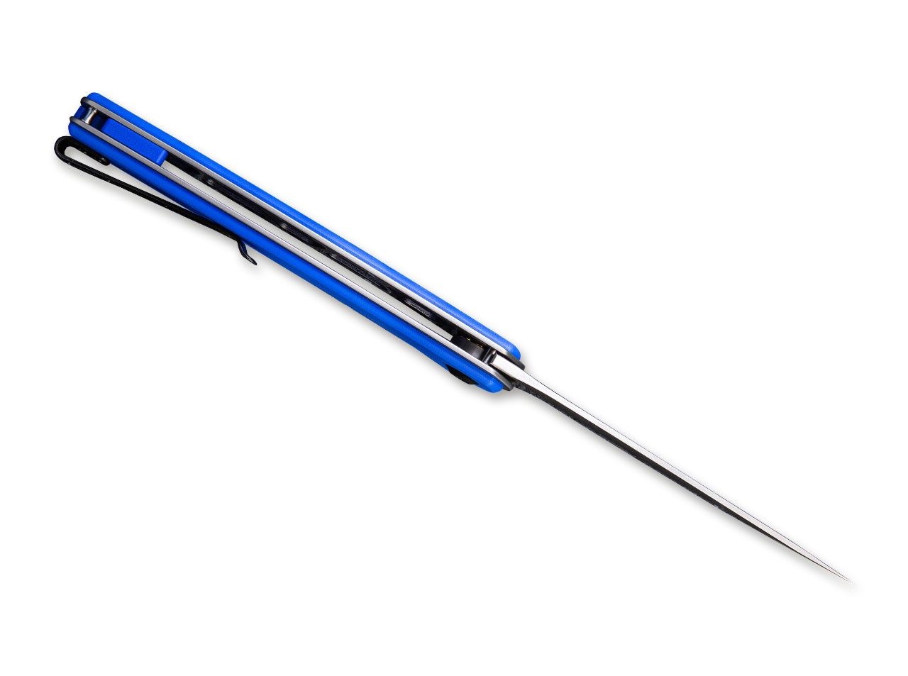 Asticus Blue