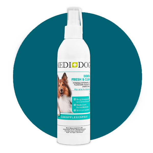 MediDog Zahnpflege MediDog Dental Fresh & Clean
