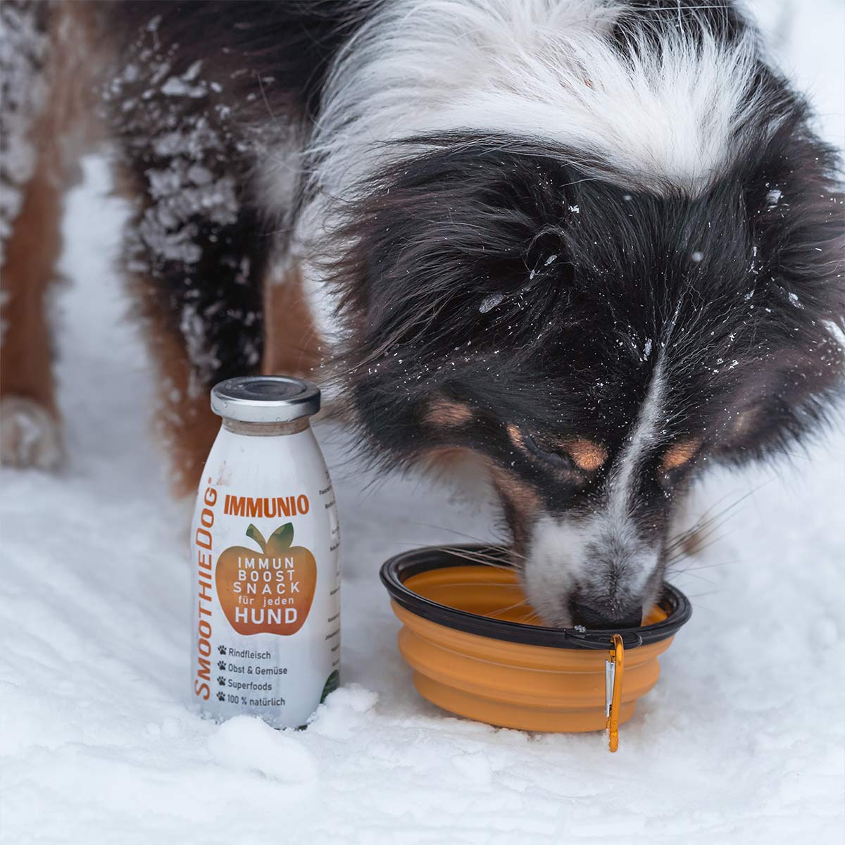 SmoothieDog Immunio günstig kaufen bei ZooRoyal