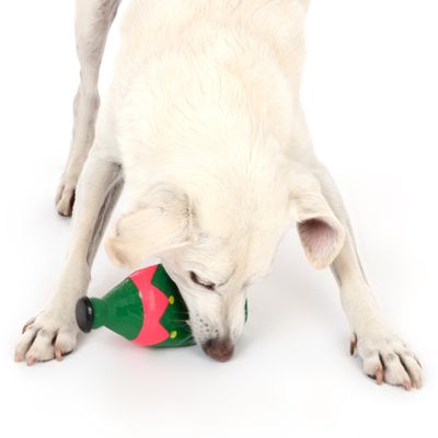 TIAKI Hundespielzeug Weihnachtliches Elfen-Bier