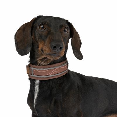TIAKI Halsband Soft & Safe, braun