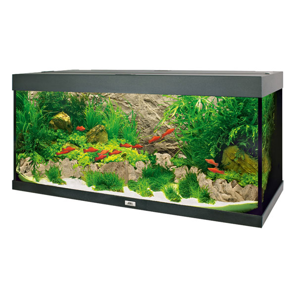 Juwel Motivrückwand Cliff Light günstig kaufen