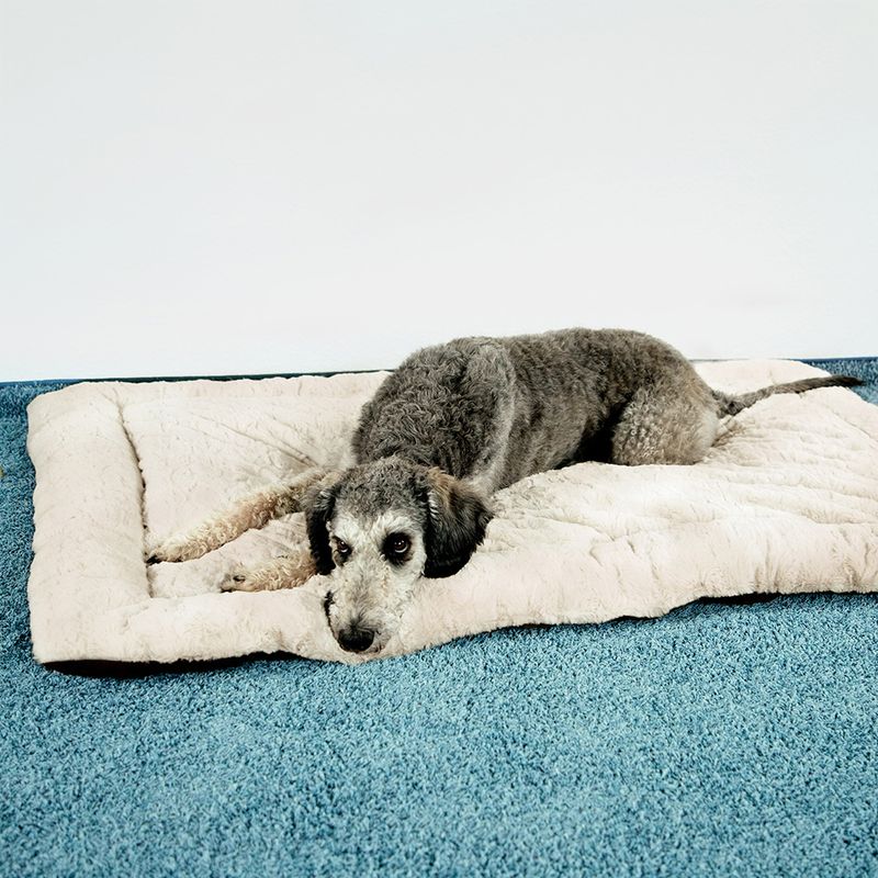 Hundekissen Self Heating Bed zu TOP-Preisen