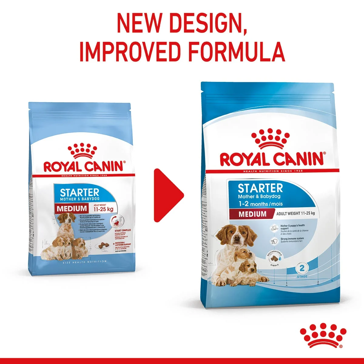 ROYAL CANIN MEDIUM Starter für tragende Hündinnen und Welpen mittelgroßer Rassen