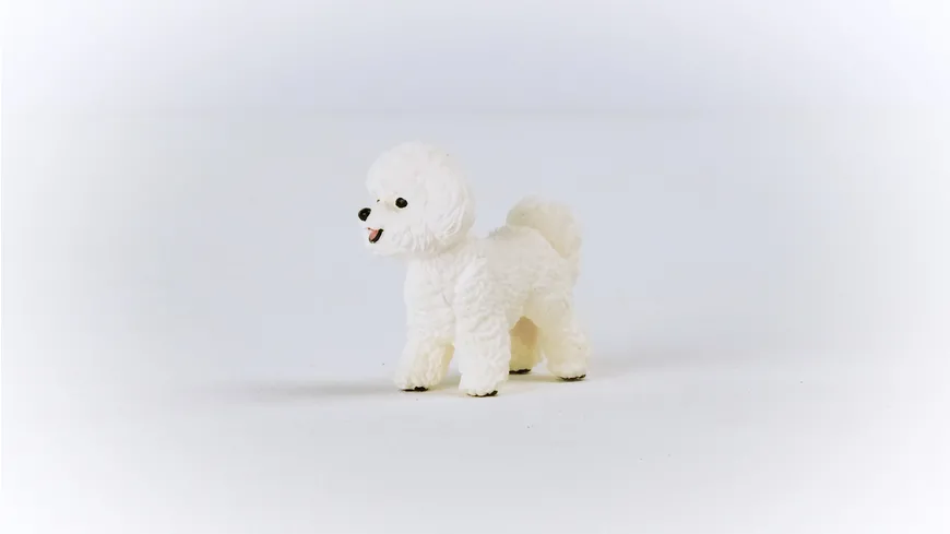 Schleich 13963 - Farm World - Bichon Frisé