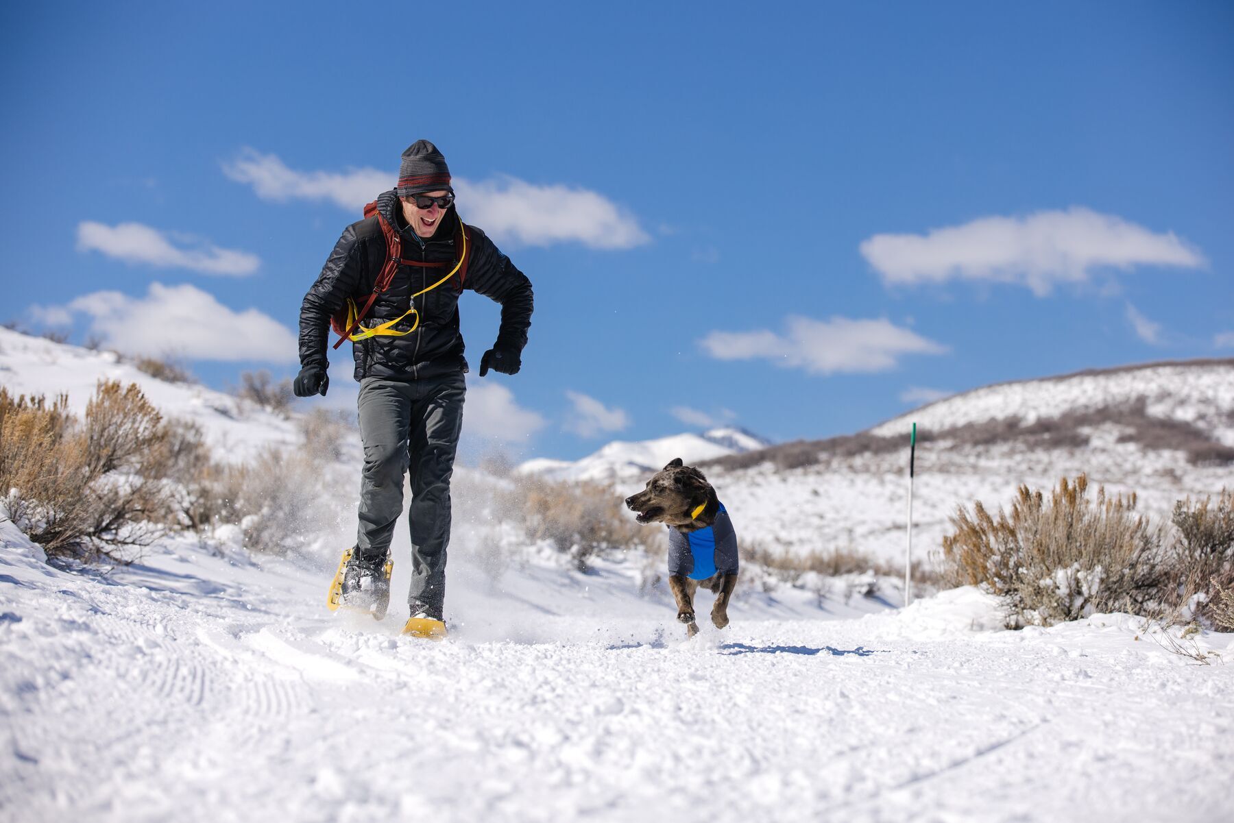 Ruffwear Hundemäntel Ruffwear Powder Hound™ Hundejacke blau XS