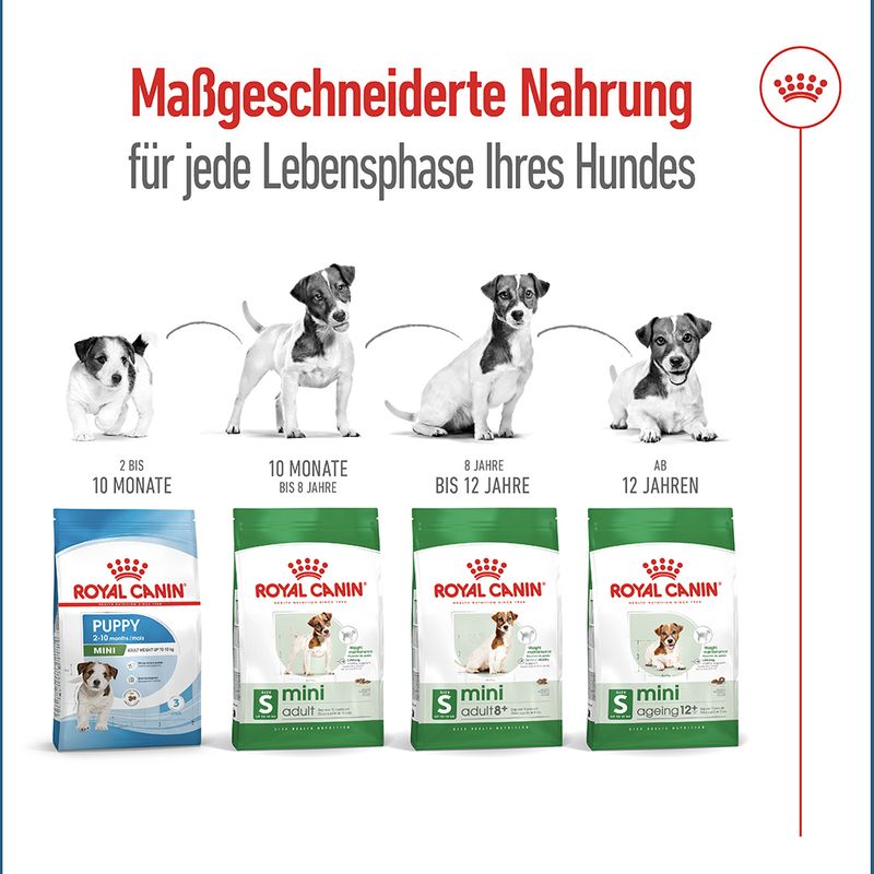 Royal Canin Mini Adult 8+ zu TOP-Preisen