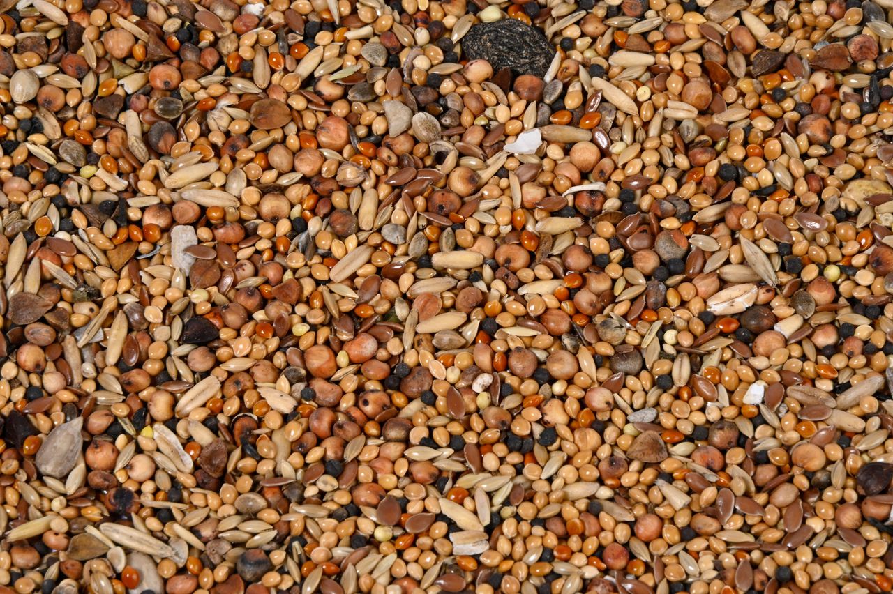 dobar Wildvogelfutter mit Früchten 7 kg