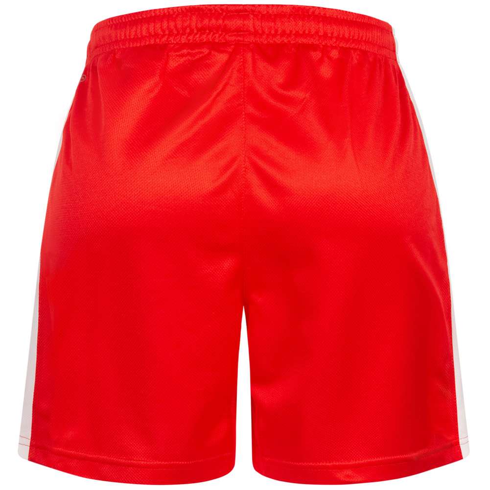 DHF Dänemark PUMA Damen Handball Shorts 750674-01