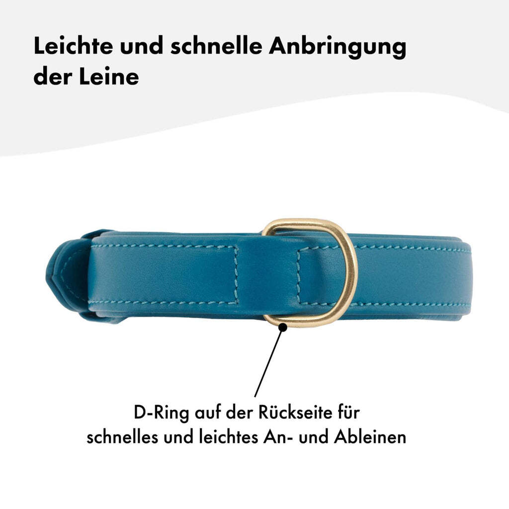 William Walker Hundehalsbänder William Walker Hundehalsband Plain Azure L