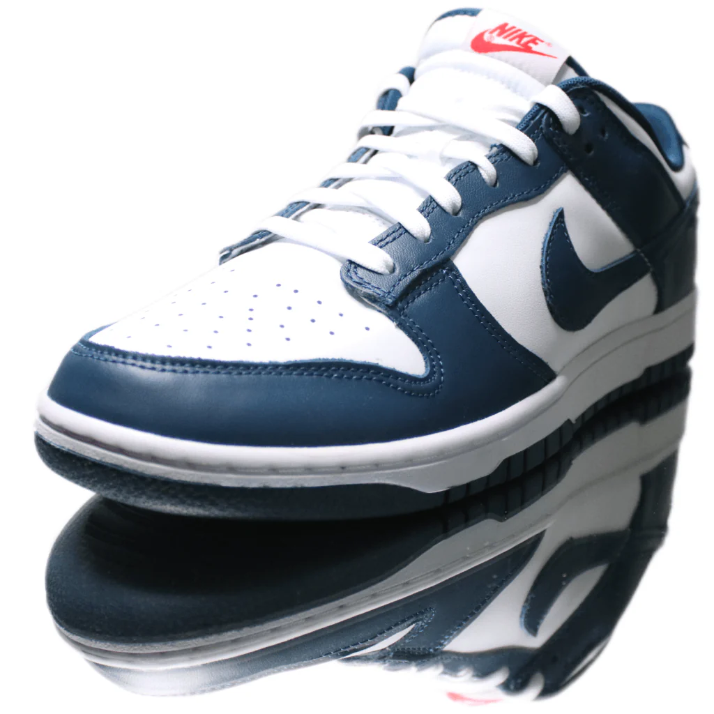 Nike Dunk Low Valerian Blue