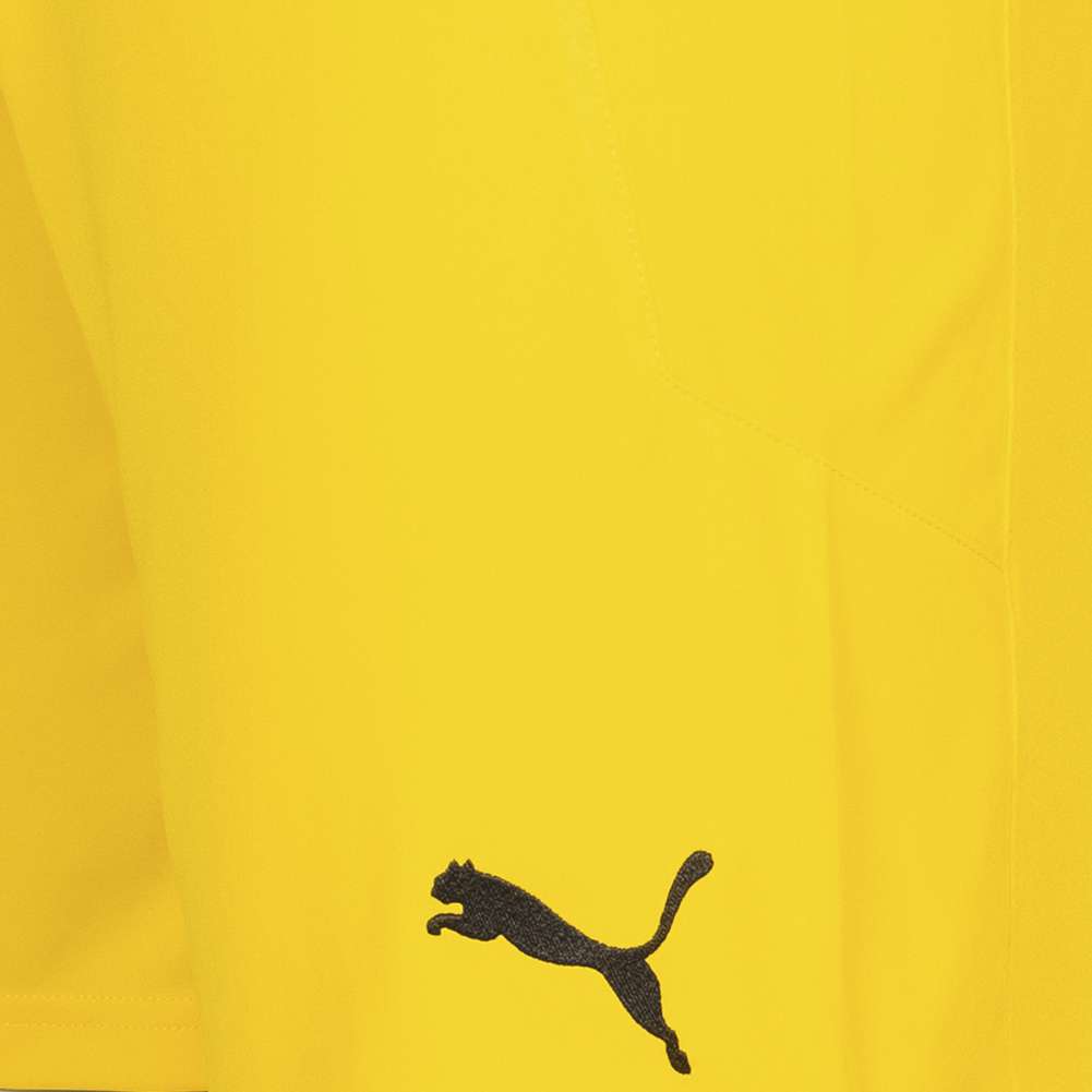 Österreich PUMA Herren Torwart Shorts 756562-06