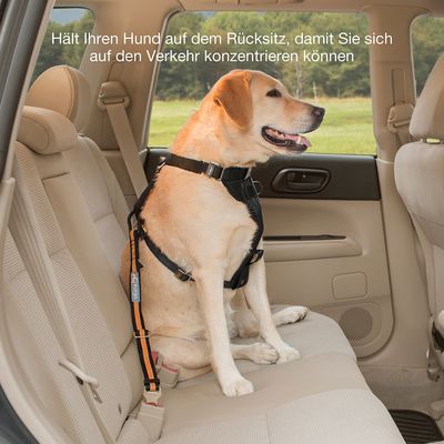 Kurgo Hundegurt fürs Auto, orange