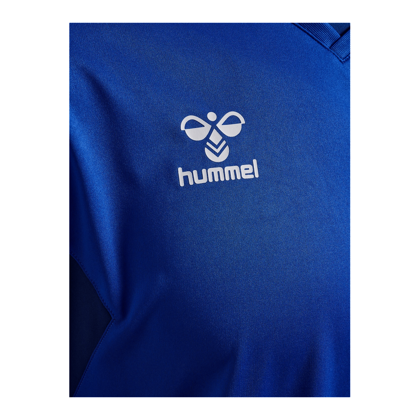 Hummel hmlAUTHENTIC PL langarm Trikot Blau F7045