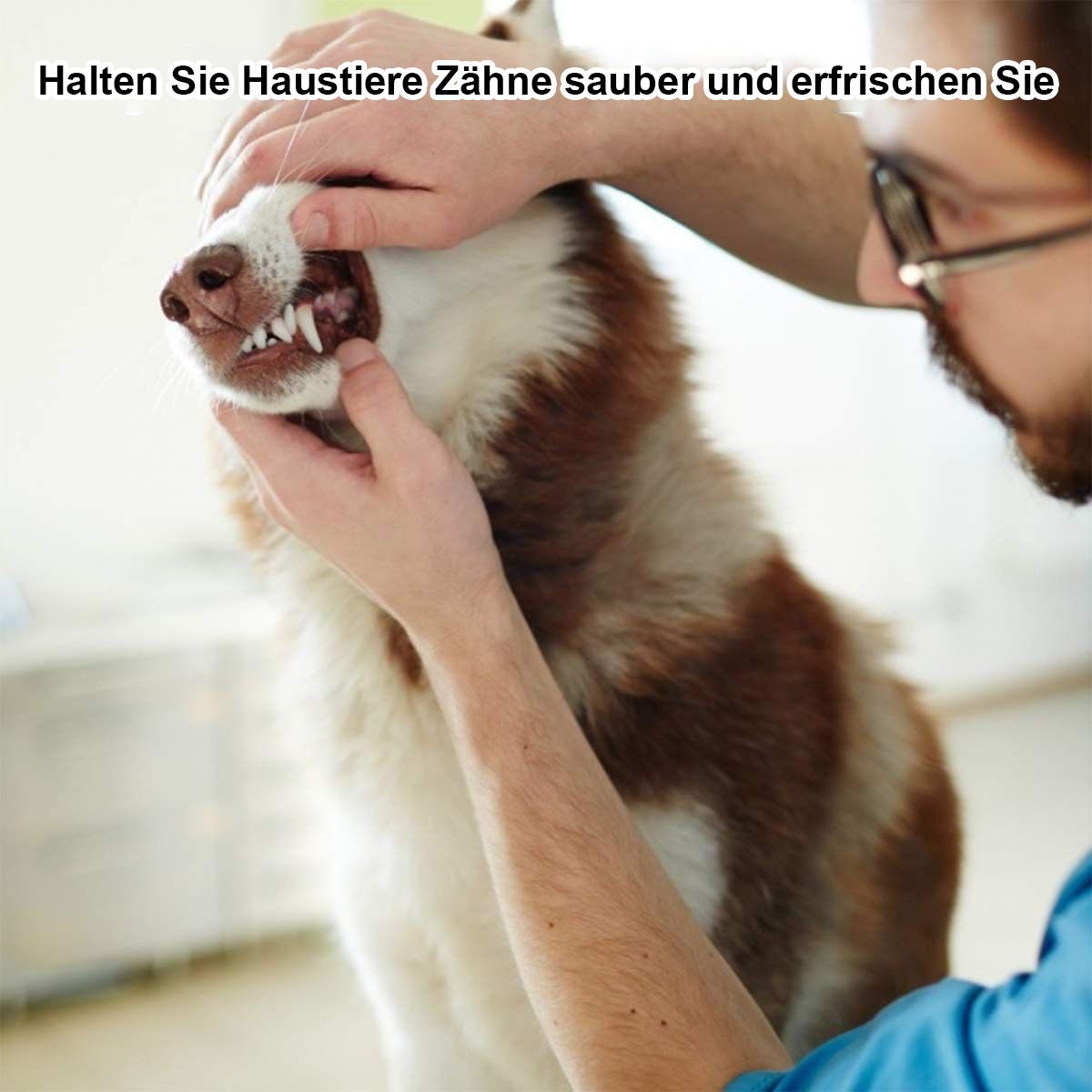 ZmdecQna Zahnpflege-Set Zahnsteinentferner 2er Set Professionell, Edelstahl, Doppelkopf