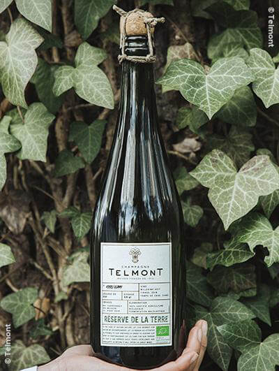 Telmont : Réserve de la Terre 2017