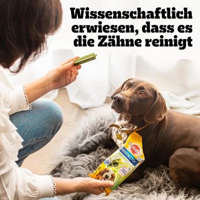 Pedigree Dentastix Fresh tägliche Frische für große Hunde (> 25 kg)