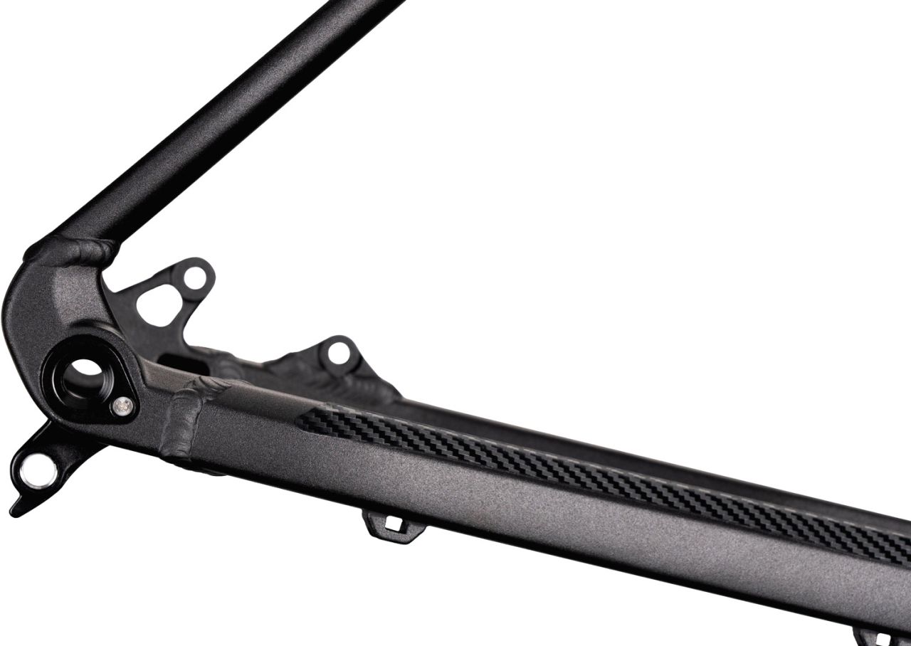 Radon New Jealous AL Rahmen kaufen | Bike-Discount
