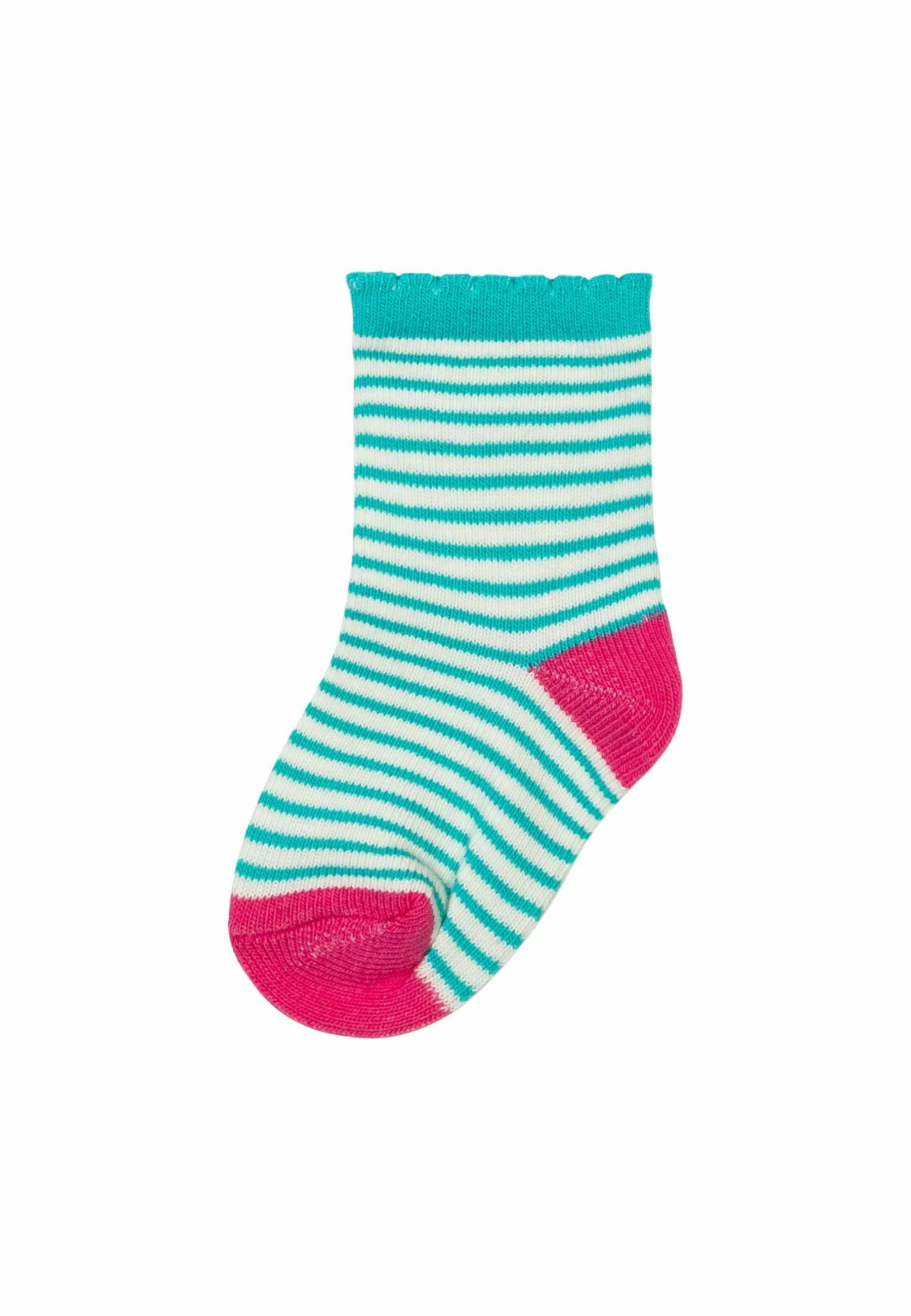 PAQUETE DE CINCO CONEJOS MINOTI - Calcetines