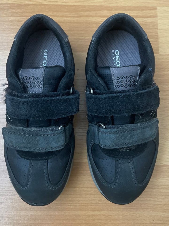 Geox Sneakers 