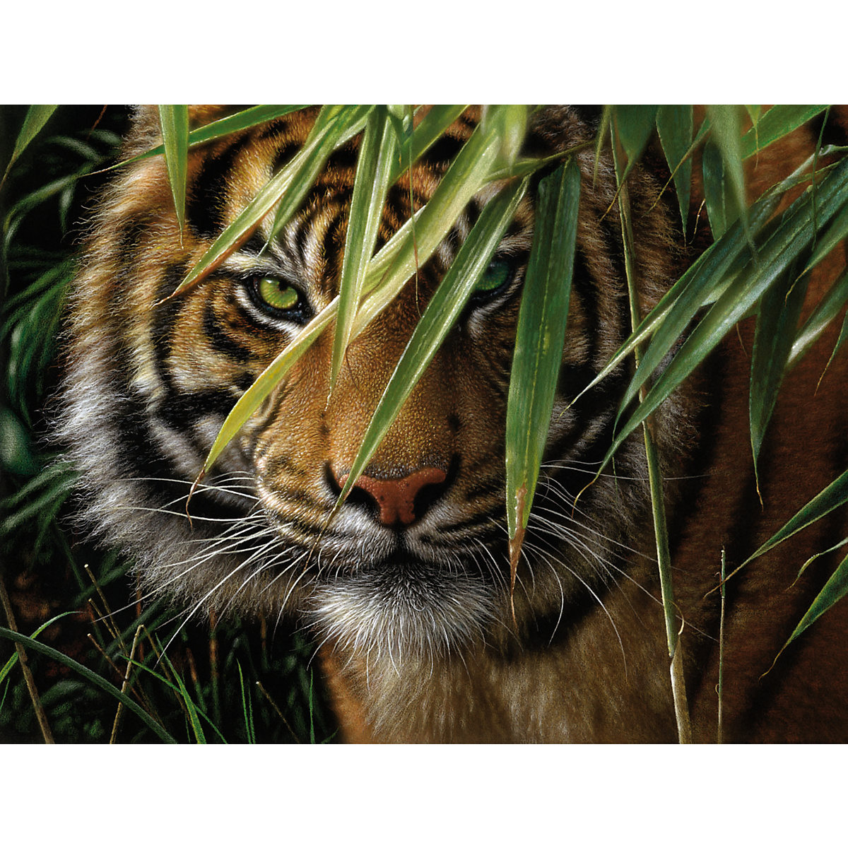 Malen nach Zahlen Artists Collection Tiger 40 x 30 cm