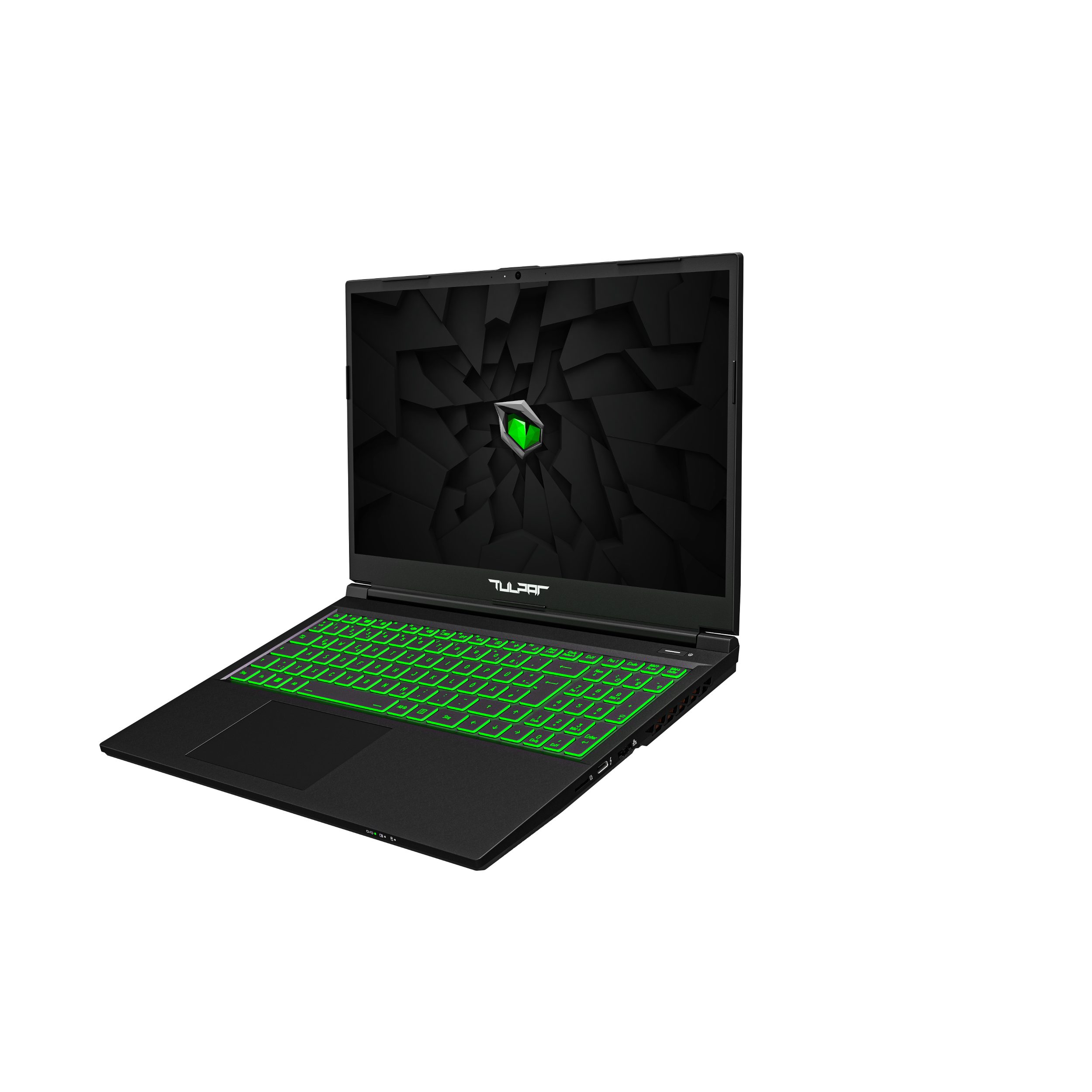 Tulpar T5 V23.2 Gaming-Notebook (39,00 cm/15.6 Zoll, Intel Core i7 12650H, RTX 4060, 1000 GB SSD, Single Zone Beleuchtete Tastatur)