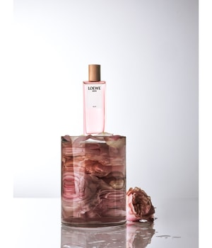 LOEWE Agua Ella Eau de Toilette 100 ml